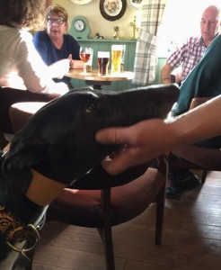 Timmy's first visit to the Pub
